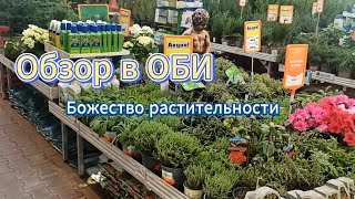 обзор в оби Божество растительности