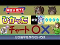 【3.5周年版】引換券 虹結晶の使い方【ウマ娘 編集9.8h 没3h 】