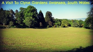 A Visit To Clyne Gardens - Swansea, South Wales