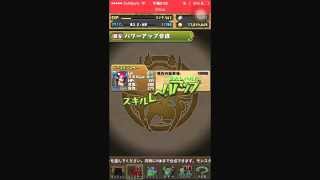 【パズドラ】スキル上げ ポリンの塔編