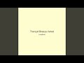 Tranquil Breeze Velvet
