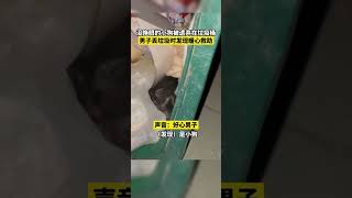 7月16日，河北唐山一男子好心救助垃圾桶内没睁眼小狗：再不济可以找个人多的地方。视频来源：需要“愛”和吉他手