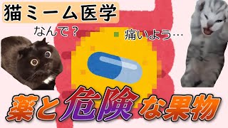 【猫ミームで学ぶ医学】薬の副作用を起こす危険な果物 #猫ミーム