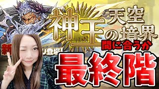 【パズドラ】神王の天空境界　最終階に挑む【とっと】