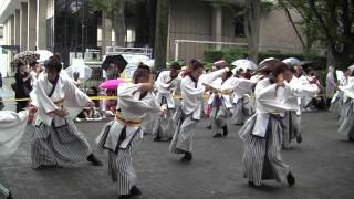 2015原宿スーパーよさこい 2日目 関東学院大学“誇咲” NHK前ストリート