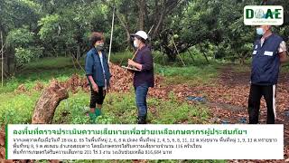 ผลงานเด่นด้านการส่งเสริมการเกษตรในพื้นที่อำเภอสอยดาว จังหวัดจันทบุรี ปี 2565