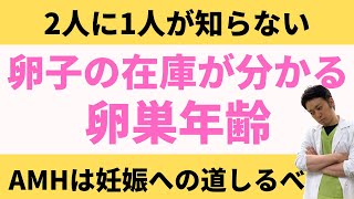 【AMHって何？】卵子の在庫が分かる「卵巣年齢」を解説【妊活不妊治療情報】