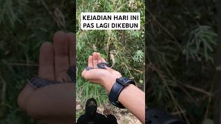 Kejadian Hari Ini Pas Lagi Main Di Kebun, Coba Kalian Perhatikan Pria Ini