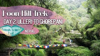 Poon Hill trek day 2: Ulleri to Ghorepani