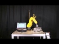 Robotic Force Sensor with Orientation