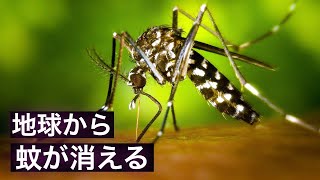 【抹殺】地球上の蚊を全て絶滅させると何が起こるのか？