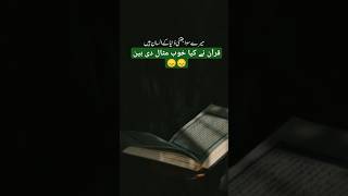 قرآن نے کیا خوب مثال دی ہین😞😞😞#غور سے سنو #viral #trending #emotional #islamic #shots