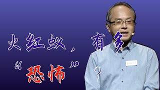 170｜陆永跃：又能吃又能生的火红蚁，到底有多“恐怖”？｜华南农业大学｜格致SELF