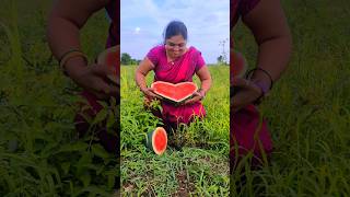 Watermelon ❤️🍉 #viral #trending #shetkri #agri