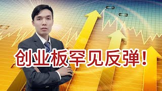 创业板罕见反弹！A股年前还会大跌吗？见底了吗？