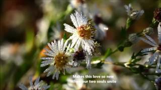 EARLY DEW (Morgenrot) - Lichtmond feat Meer Fé (with lyrics)