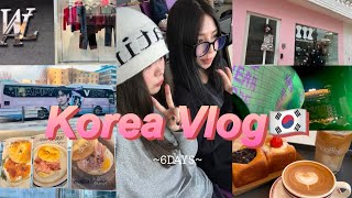 【VLOG】한국여행/5泊6日の年末年始渡韓🇰🇷/cafe\u0026shopping🛍️