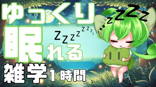 【ASMR】ずんだもんが語る夜の動物たちの秘密｜癒しの睡眠物語