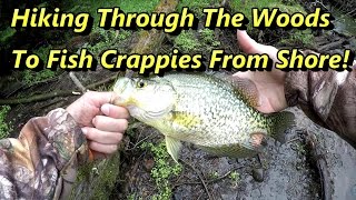 How We Quickly Catch Crappie From Shore (And You Can To)