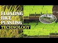 Amazing Technology in Agriculture - Floating Rice Planting Technology | Floating Rice Farm