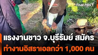 แรงงานชาว จ.บุรีรัมย์ สมัครไปทำงานอิสราเอลกว่า 1,000 คน | จับตารอบทิศ | 11 ก.พ. 68