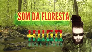 HUGO CASA VERDE - SOM DA FLORESTA