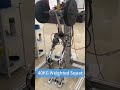 demonstration of humanoid robot milestones