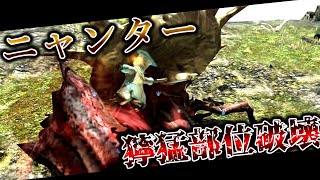 【VOICEVOX実況】ネコの獰猛部位破壊ツアーvol 0、ダイミョウザザミ【MHXX】