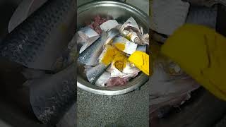 Hilsa Fish Fry#Elishi Machha Vaja#ଇଲିଶି ମାଛ ଭଜା#short#video#