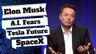 Elon Musk AI Concerns, Innovation in Autonomous Cars, SpaceX Travel & Solar City.