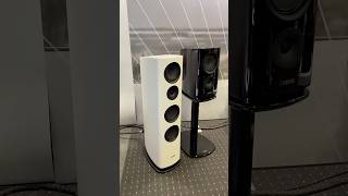 Canton Reference 7 Loudspeaker (Floor Standing) in action #audiophile #hifi @cantonlautsprecher