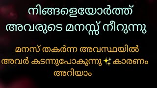 നിങ്ങളെയോർത്ത് അവരുടെ മനസ്സ് നീറുന്നു. കാരണം അറിയാം അവരുടെ ചിന്തകൾ  #malayalam-tarot #tarot