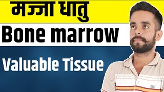 How Bone Marrow Keeps You Alive | Majja dhatu in ayurveda | saptdhatu concept in body | bone marrow