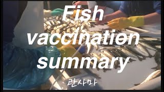 Fish vaccination Summary -어류백신