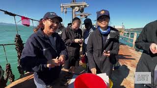 Study Marine Science at AUT