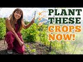 Unlock the Secret to a Thriving Fall Garden - Learn Now!