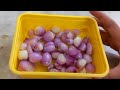 வாரம் முழுக்க டென்சன் இல்லாமல் lunch செய்ய lunchbox prepreparation ideas lunchbox ideas