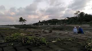 একবার যেতে দে না আমার ছোট্ট সোনার গাঁয়, নিজ জন্মভূমির প্রতি মায়াটা একটু বেশিই। 💯❤️