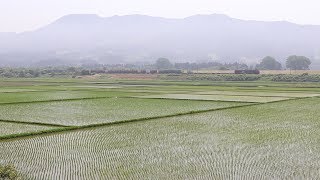 2018.6.3 東北本線 前沢～平泉　貨物列車