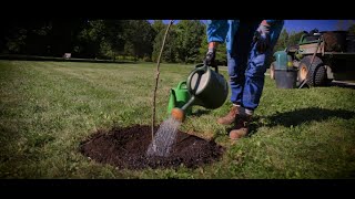 Wall-Custance Memorial Forest Planting 2020