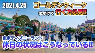 東京ディズニーランド 2021.4.25の様子