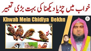 Khwab Mein Chidiya dekhne Ki Tabeer | khwab ki Tabeer | qari m khubaib |m Awais | DWI Official Video