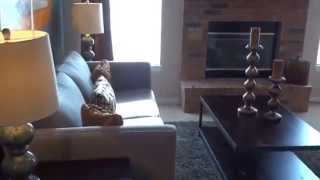 Fantastic Apartments in Overland Park | Upscale Amenities (KC329b)