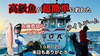 高級魚が超簡単に　谷口釣船一つテンヤ