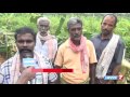 wild elephants damages farms and corps in kalakkad news7 tamil