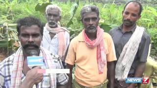 Wild elephants damages farms and corps in Kalakkad | News7 Tamil