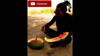 Taste #viral #viralvideo#travel #trending#trendingshorts   #trendingreels#trendingvideo #villagelife