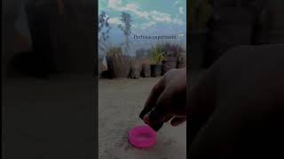 Science experiment#trending #experiment #science #fireworks #viralvideo #shorts #youtube #system