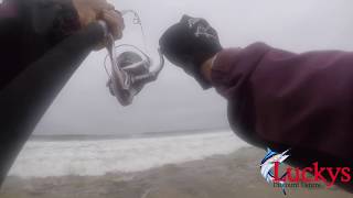 Monster Shad/Taylor  on Storm lure