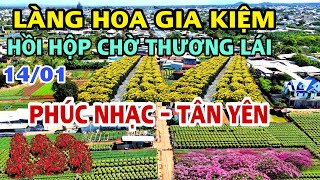 LÀNG HOA GIA KIỆM 2025 PHÚC NHẠC - TÂN YÊN HỒI HỘP CHỜ THƯƠNG LÁI .